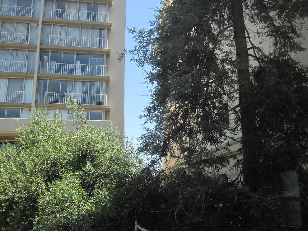 1470 Alice Street, Oakland, California, United States 94612, 2 Bedrooms Bedrooms, ,1 BathroomBathrooms,Apartment,Two Bedroom,Alice Street,1707