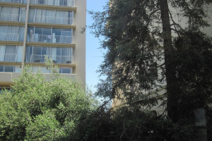 1470 Alice Street, Oakland, California, United States 94612, 2 Bedrooms Bedrooms, ,1 BathroomBathrooms,Apartment,Two Bedroom,Alice Street,1707
