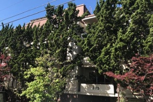 375 Bellevue, Oakland, California, United States 94610, ,Apartment,Two Bedroom,The Bellevue Apartments,Bellevue,1,1835
