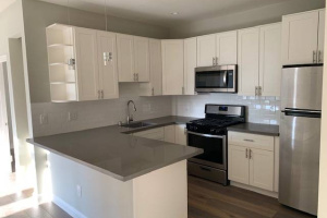 900 Chestnut St., San Francisco, California, United States 94109, 2 Bedrooms Bedrooms, ,Apartment,Two Bedroom,Chestnut St.,1869